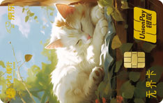 中信银行京东联名信用卡宠物卡（橘猫版-金卡）