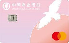 农业银行万事达留学信用卡（女版）