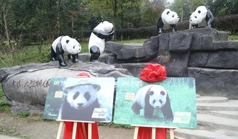 浦发银行动感熊猫主题信用卡