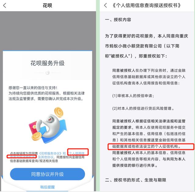 花呗数据正逐步接入央行征信，未来将覆盖全部用户
