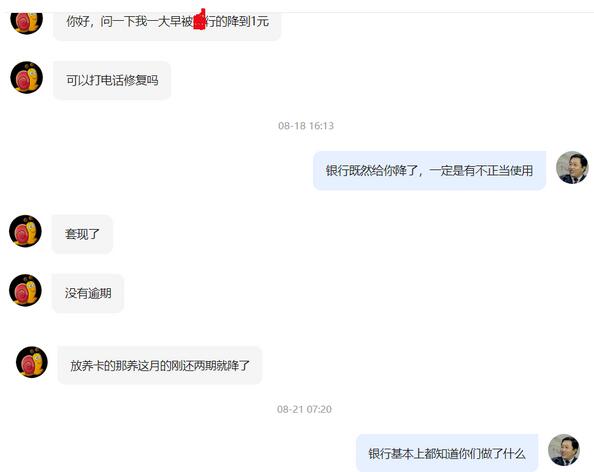 2020年上半年信用卡逾期未偿信贷总额下降原因分析