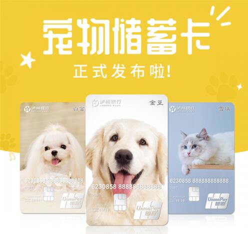 泸州银行宠物储蓄卡