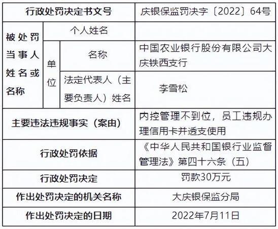 农业银行大庆铁西支行员工违规办理信用卡并透支使用被罚款30万元