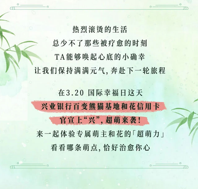 兴业银行百变熊猫基地和花信用卡超萌来袭~