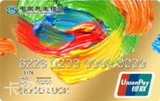 民生银行in卡（绚彩油画版-金卡）