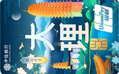 中信银行颜卡X城市系列信用卡（大理版）