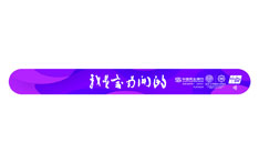 民生银行南开大学百年校庆联名信用卡（&ldquo;我是爱南开的&rdquo;紫色腕带版-标准白金卡）