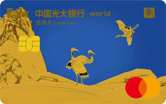 光大银行孝心主题信用卡（万事达版-卓越白金卡）