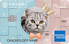 农业银行My Way系列炫萌萌主题信用卡（DIY自定义版）