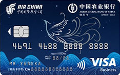 农业银行国际航空联名信用卡（Visa-金卡）