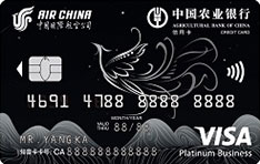 农业银行国际航空联名信用卡（Visa-白金卡）