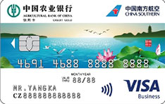 农业银行南航联名信用卡（Visa水版-金卡）