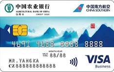 农业银行南航联名信用卡（Visa山版-金卡）