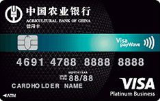 农业银行全球支付信用卡（Visa-白金卡）