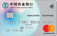 农业银行全球支付信用卡（MasterCard-白金卡）