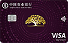 农业银行昀钻信用卡（VISA-标准版）