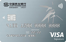 民生银行单标外币标准白金信用卡（VISA版）