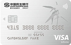 民生银行Visa单标标准豪华白金信用卡