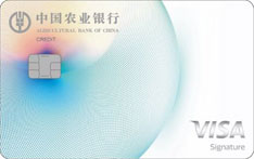 农业银行Visa全球支付白金信用卡