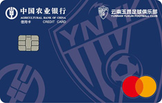 农业银行云南玉昆足球联名信用卡