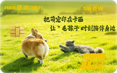 汉口银行九通信用卡秀卡