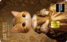 浦发银行美国运通萌主信用卡（猫猫版）