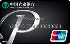 农业银行金穗标准借记卡（白金卡）