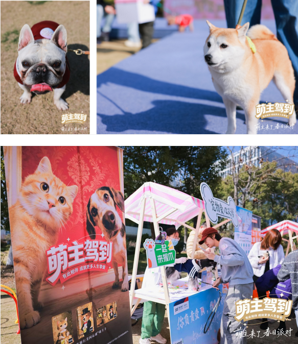 浦发银行全新推出萌主信用卡 以金融温度打造贴心守护